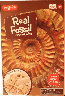 fossils