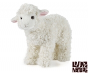 lamb