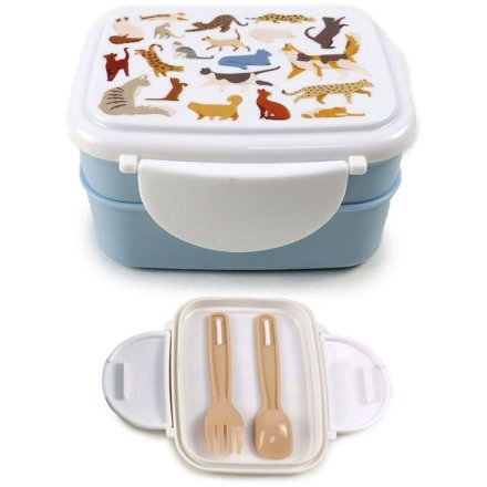 lunchbox
